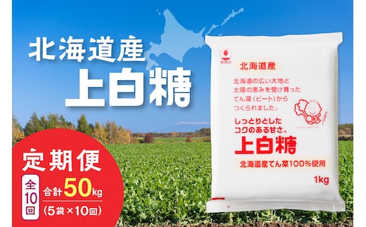 【10回定期便】ホクレンの上白糖1kg×5袋