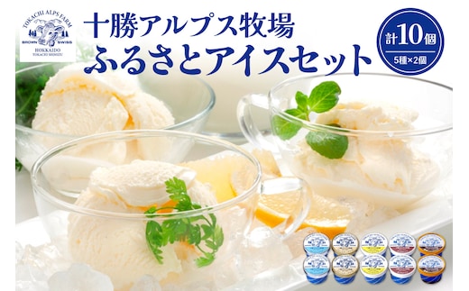 ブラウンスイス牛の生乳から作られた希少な 十勝アルプス牧場 アイス5種10個セット！