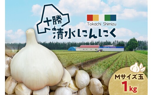 【北海道産】十勝育ちのにんにく Mサイズ(玉) 1kg にんにく ニンニク ガーリック にんにく 北海道産 にんにく_S021-0020