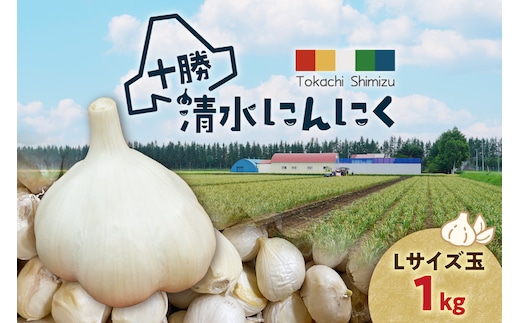 【北海道産】十勝育ちのにんにく Lサイズ(玉) 1kg にんにく ニンニク ガーリック にんにく 北海道産 にんにく_S021-0021