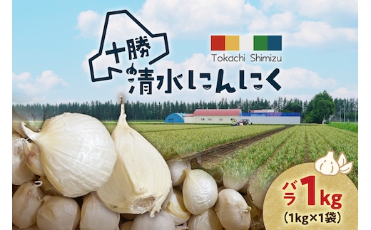 【北海道産】十勝育ちのにんにく バラ1kg にんにく ニンニク ガーリック にんにく 北海道産 にんにく_S021-0022