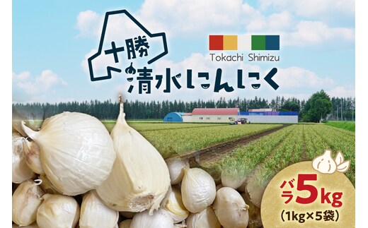 【北海道産】十勝育ちのにんにく バラ5kg にんにく ニンニク ガーリック にんにく 北海道産 にんにく_S021-0026