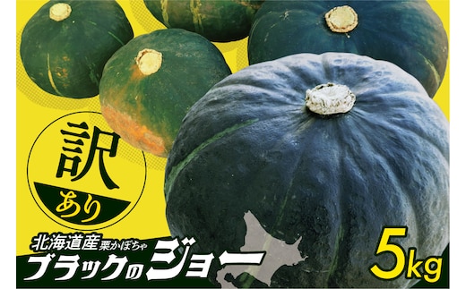 【北海道産】お試し！3片！十勝熟成黒にんにく 3片入り1袋 にんにく ニンニク ガーリック 黒にんにく 北海道産にんにく_S021-0030