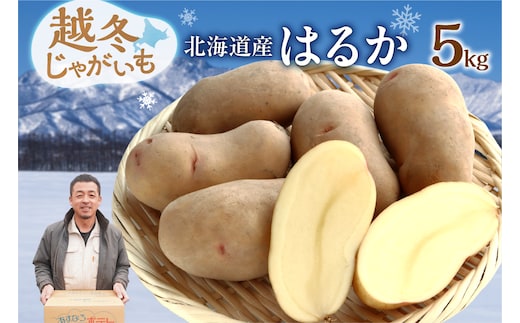 2026年発送分先行受付！ホクホク あま～い！ 低温貯蔵！北海道産 越冬じゃがいも はるか 約5kg