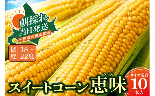 先行受付！【2026年8月頃～発送開始！】北海道十勝清水町産 恵味 サイズ混合 10本 北海道産 2026年 とうもろこし とうきび 産直 産地直送 清水町 北海道