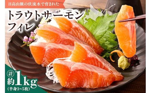 トラウトサーモンフィレ 1kg(半身3~5枚) フライやムニエル、お刺身や手巻き寿司まで！活用方法いろいろ！魚 魚介類 刺身 小分け 冷凍 鮭 さけ 海鮮 トラウト サーモン_S042-0002