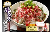 【4回定期便】人気の牛とろ丼セット 500g 専用タレ付き