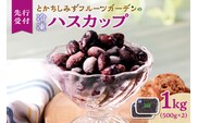 【令和6年産 先行受付】とかちしみずフルーツガーデンのハスカップ1kg