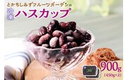 【2025年発送先行予約！】とかちしみずフルーツガーデンのハスカップ900g