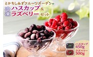 【2025年発送先行予約！】とかちしみずフルーツガーデンのハスカップ&ラズベリーセット