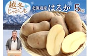 2026年発送分先行受付！ホクホク あま～い！ 低温貯蔵！北海道産 越冬じゃがいも はるか 約5kg