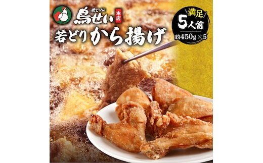 鳥せい本店の若どりから揚げ 満足5人前