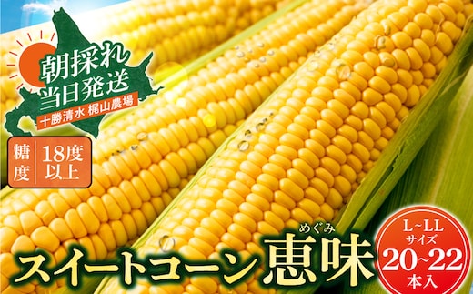 先行受付！【2026年8月頃～発送開始！】北海道十勝清水町産 恵味 L～LL 20～22本 朝採れ 甘くてジューシー とうもろこし 粒皮やわらか 