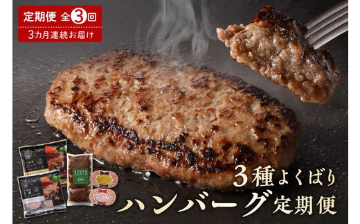 【3ヵ月定期便】北海道芽室町 3種よくばり ハンバーグ定期便 me000-010c