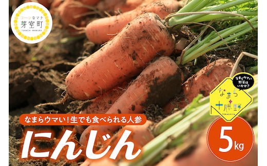 【先行受付】【10月上旬より発送】北海道十勝芽室町 なまら十勝野 芽室町産にんじん５㎏ me001-030c