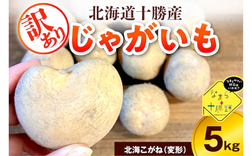 【10月上旬～1月下旬頃配送】【訳あり】北海道十勝芽室町 農家応援じゃがいも 北海こがね（変形）5㎏ me001-050c-3