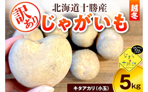 【2月上旬～4月下旬頃配送】【訳あり】北海道十勝芽室町 農家応援じゃがいも(越冬)5㎏ キタアカリ（小玉）me001-051c-1