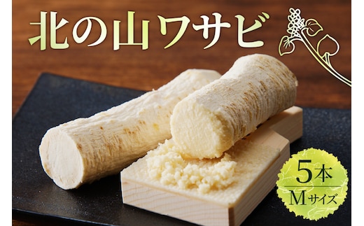 北海道十勝芽室町 北の山ワサビ（根茎）Mサイズ1本入×5パック me011-003c