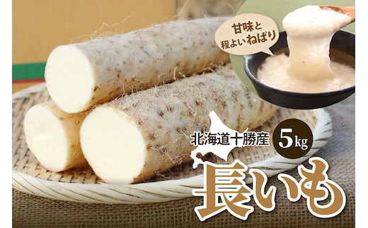 北海道十勝芽室町 ファーム・ミリオンの長芋 5㎏ me016-012c