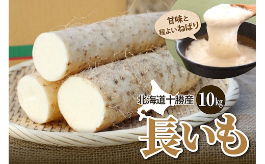 北海道十勝芽室町 ファーム・ミリオンの長芋 10㎏ me016-013c