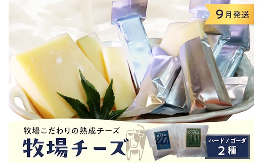 9月発送 北海道十勝芽室町 牧場チーズ２種類セット me020-005c-9