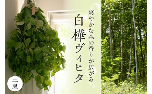 【先行受付】北海道芽室町産「白樺ヴィヒタ」2束 me055-002c-3