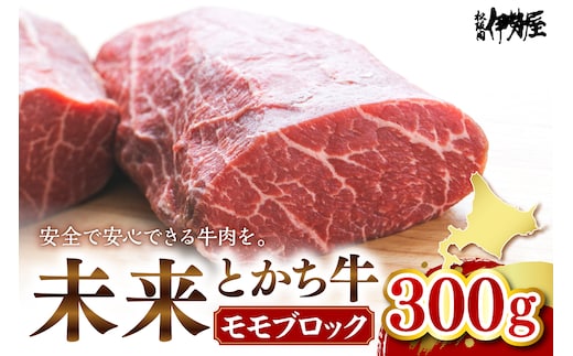 北海道十勝芽室町 未来とかち牛モモブロック 300g me073-006c