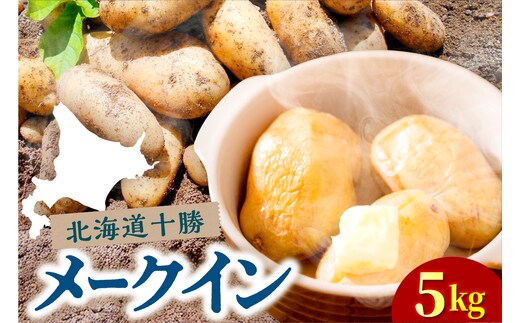 【先行受付】【2026年10月下旬より順次出荷】北海道 十勝芽室町 メークイン Mサイズ5kg me078-008c-26