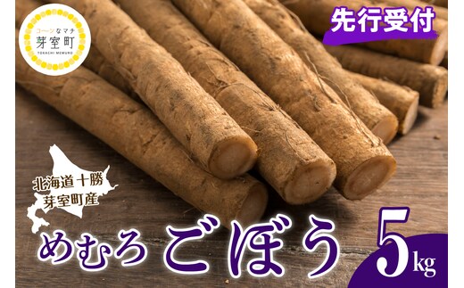 【先行受付】【2026年10月より配送予定】北海道十勝芽室町 愛菜屋のめむろごぼう5kg me002-006c