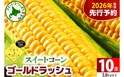 【先行受付】【2026年7月下旬～8月15日頃配送】北海道十勝芽室町 スイートコーンゴールドラッシュ 10本 me001-003c-26