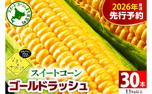 【先行受付】【2026年7月下旬～8月15日頃配送】北海道十勝芽室町 なまら十勝野のスイートコーン ゴールドラッシュ(30本) me001-011c-26