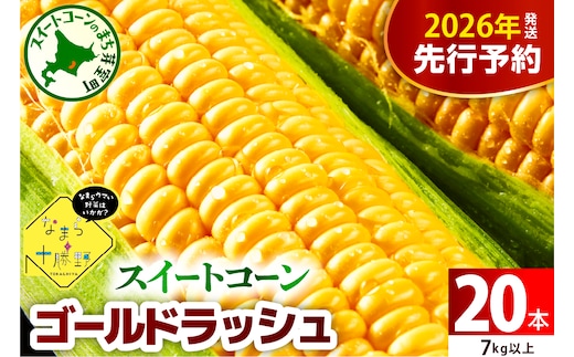 【先行受付】【2026年7月下旬～8月15日頃配送】北海道十勝芽室町 スイートコーンゴールドラッシュ20本 me001-020c-26