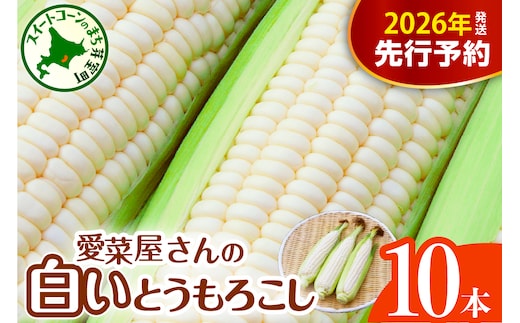 【先行受付】【2026年7月下旬～8月中旬頃配送】北海道十勝芽室町 とうもろこし 10本 ホワイト種 me002-005c-26