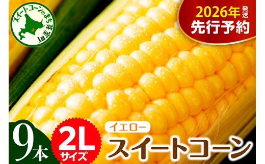 【先行受付】【2026年7月下旬～8月中旬頃配送】北海道十勝芽室町 とうもろこし 2L 9本入り me002-021c-26