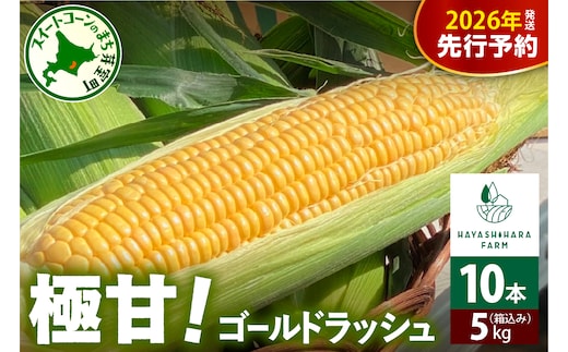 【先行受付】【2026年7月下旬～8月上旬まで配送予定】北海道十勝芽室町 極甘とうもろこし ゴールドラッシュ 10本 me028-001c-26