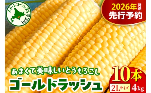 【先行受付】【2026年8月上旬～8月下旬頃配送】北海道十勝芽室町 とうもろこし ゴールドラッシュ 2Lサイズ 10本セット me078-003c-26