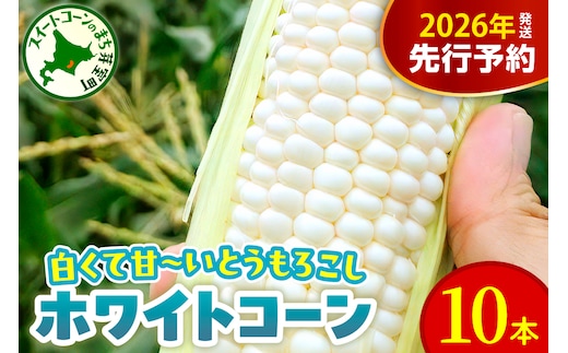 【先行受付】【2026年8月10日～8月下旬配送】北海道 十勝芽室町 とうもろこし ホワイトコーン 10本セット me078-004c-26