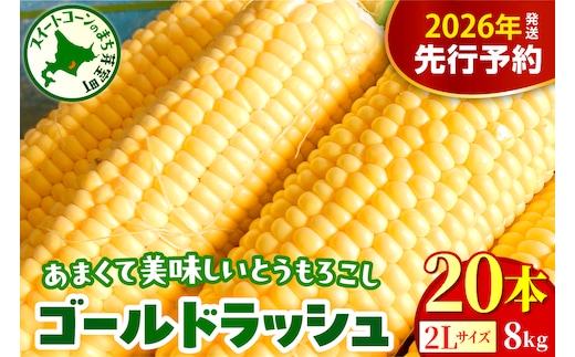 【先行受付】【2026年8月上旬～8月下旬頃配送】北海道十勝芽室町 とうもろこし ゴールドラッシュ 2Lサイズ 20本セット me078-010c-26