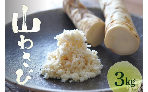 北海道芽室町 十勝産山わさび（土付き3kg）me064-002c