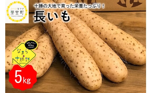 【12月中旬以降発送】北海道十勝芽室町 なまら十勝野の長いも ５kg me001-010c