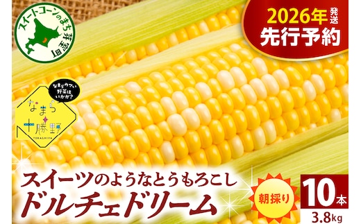 【先行受付】【2026年7月下旬～8月15日頃配送】北海道十勝芽室町 なまら十勝野 ドルチェドリーム(10本) me001-043c-26
