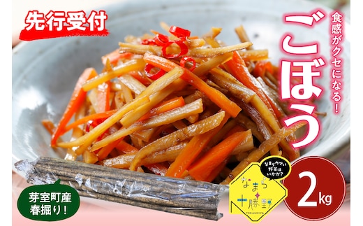 【先行受付】【2026年5月中旬より順次発送】北海道十勝芽室町 なまら十勝野 芽室町産 春掘りごぼう【柳川理想】M2kg me001-031c