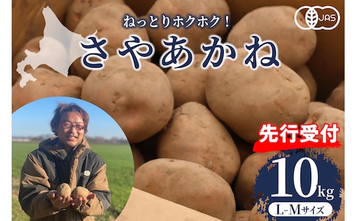 【先行予約】【2025年12月より配送】北海道十勝芽室町 さやあかね L-Mサイズ 10kg me049-003c-25