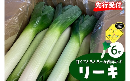 【先行受付】【2026年11月より発送】北海道十勝芽室町 なまら十勝野の鳥本農場リーキ 6本 me001-046c