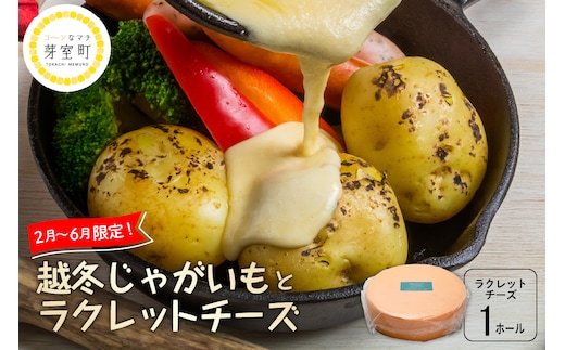北海道十勝芽室町 なまら十勝野 越冬じゃがいも ラクレットチーズ1ホール3,700g以上 セット me000-009c