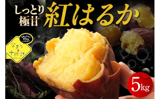 【12月以降発送】北海道十勝芽室町 なまら十勝野 芽室町産さつまいも【紅はるか】５㎏ me001-029c
