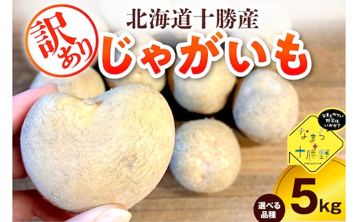 【10月上旬～1月下旬頃配送】【訳あり】北海道十勝芽室町 農家応援じゃがいも キタアカリ（小玉）5㎏ me001-050c-1