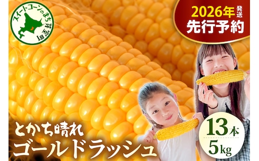 【2026年産先行受付】【10月上旬より発送】北海道十勝めむろ産 たまねぎ L大サイズ 20kg me010-011c-26