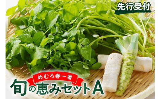 【先行受付】【2026年4月下旬より発送】北海道十勝芽室町 めむろ春一番旬の恵みセットＡ me011-002c