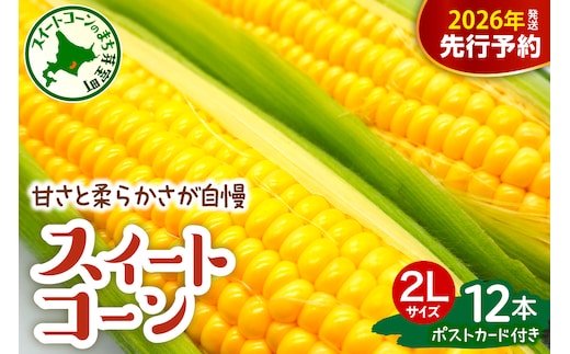 【先行受付】【2026年7月下旬～8月下旬頃配送】北海道十勝芽室町 上美生のたからばこ とうもろこしゴールドラッシュ ２Lサイズ以上12本ポストカード セット me029-001c-26